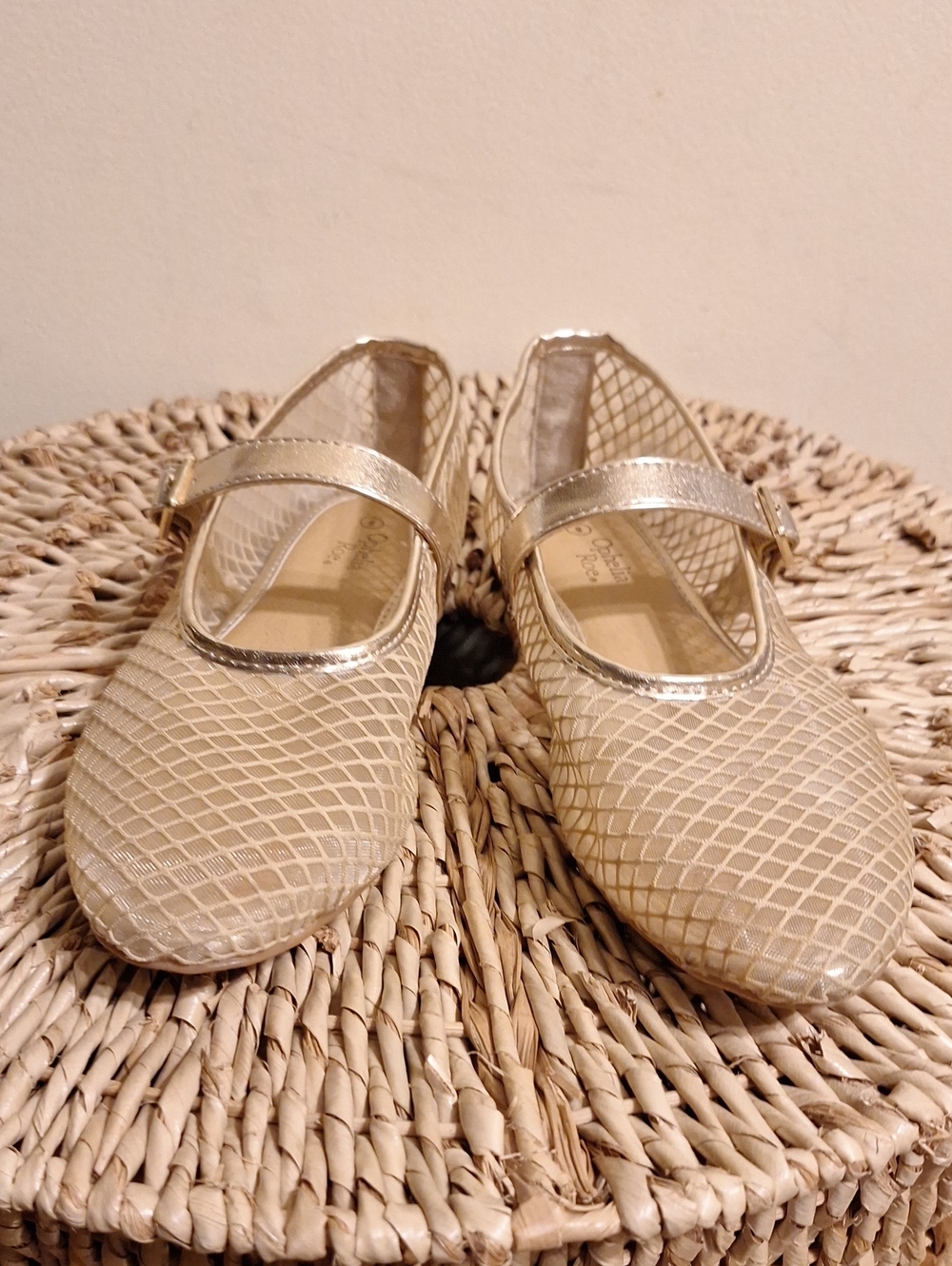 Gold Mesh Mary Jane Flats